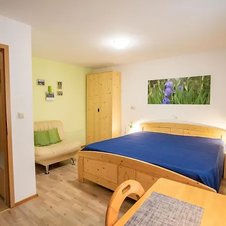 Apartmaji Alpski Cvet - Hisa Gorenc Bohinj Exterior photo