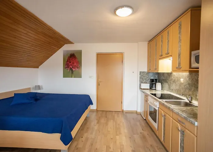 Apartmaji Alpski Cvet - Hisa Gorenc