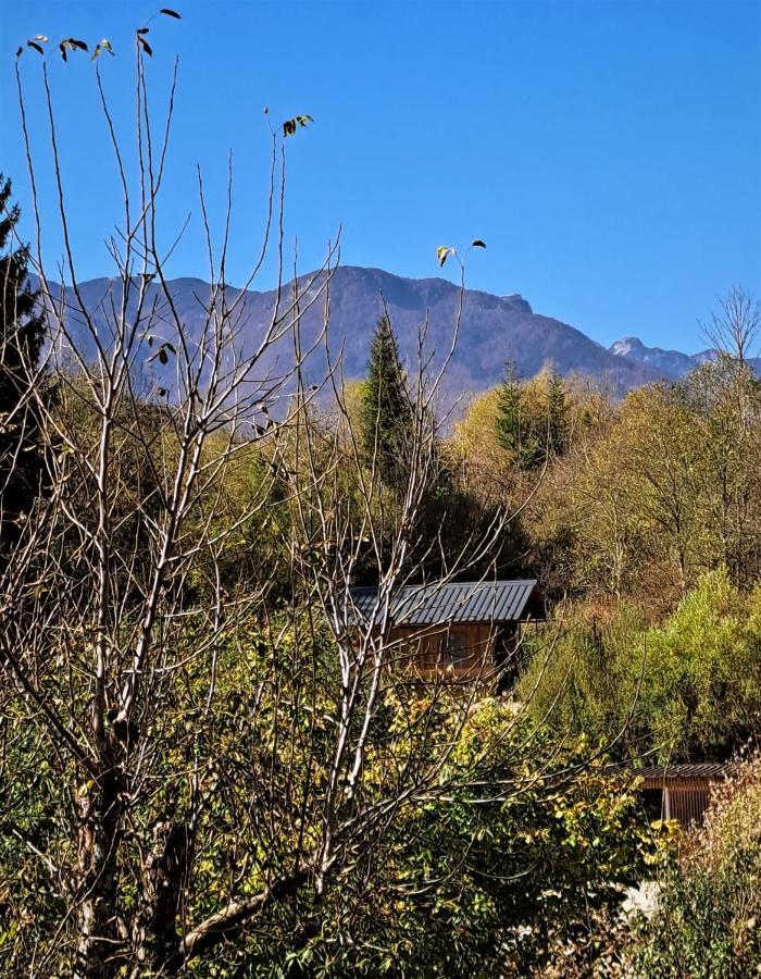 Apartmaji Alpski Cvet - Hisa Gorenc Apartment