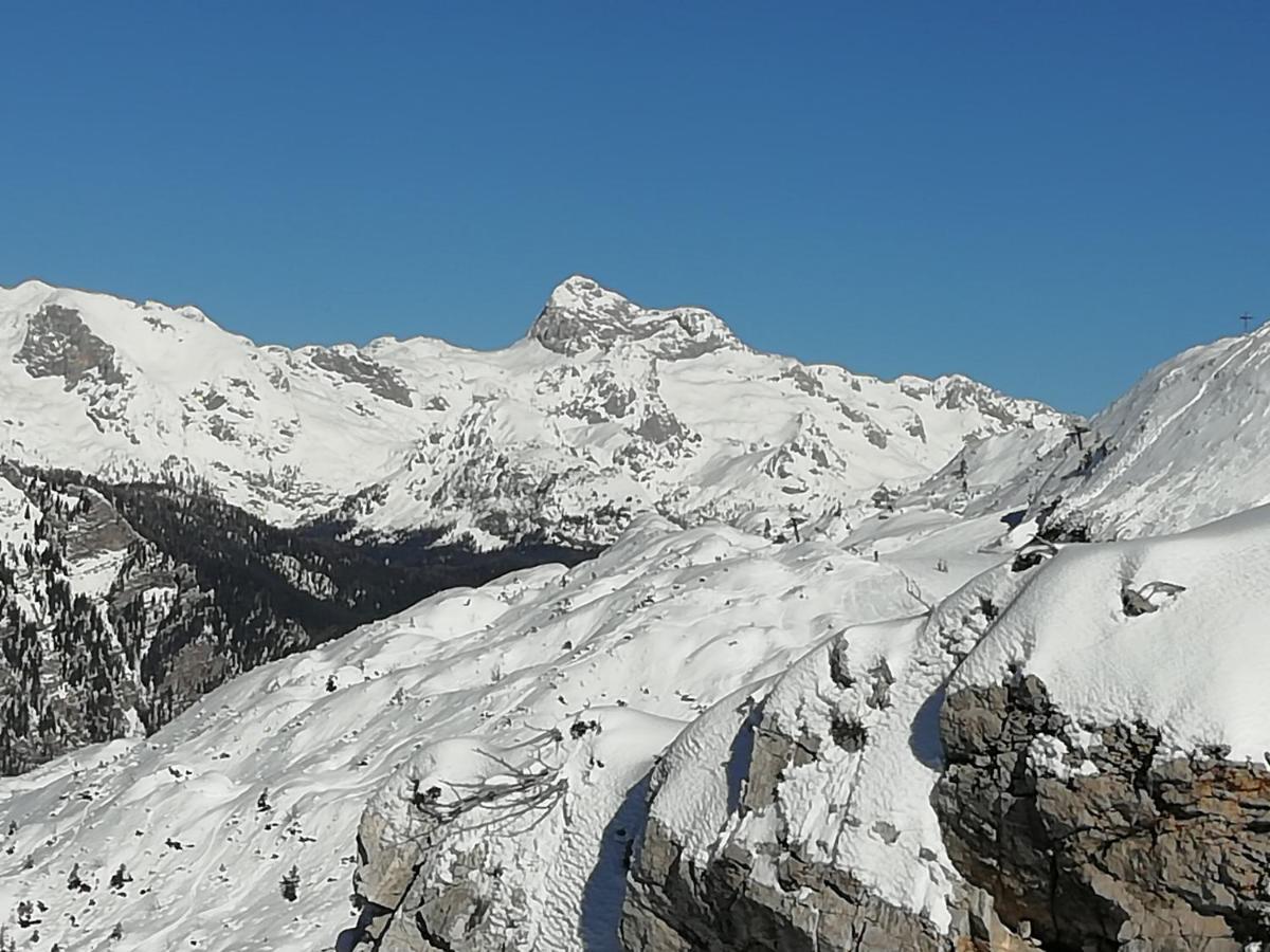 Apartmaji Alpski Cvet - Hisa Gorenc Apartment