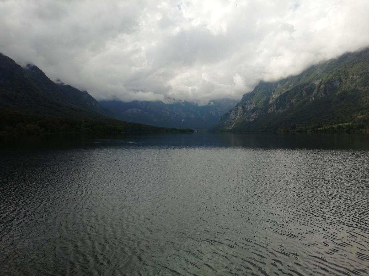Apartmaji Alpski Cvet - Hisa Gorenc