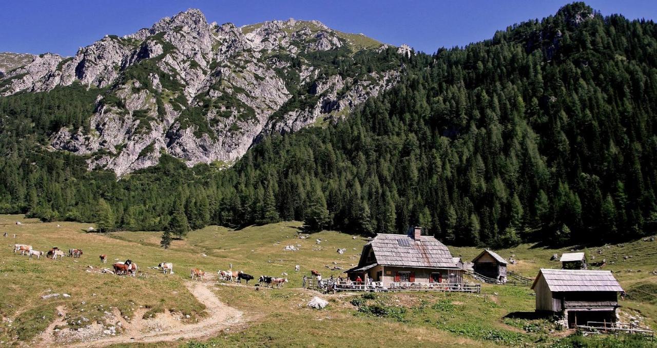 Apartmaji Alpski Cvet - Hisa Gorenc Apartment Bohinj