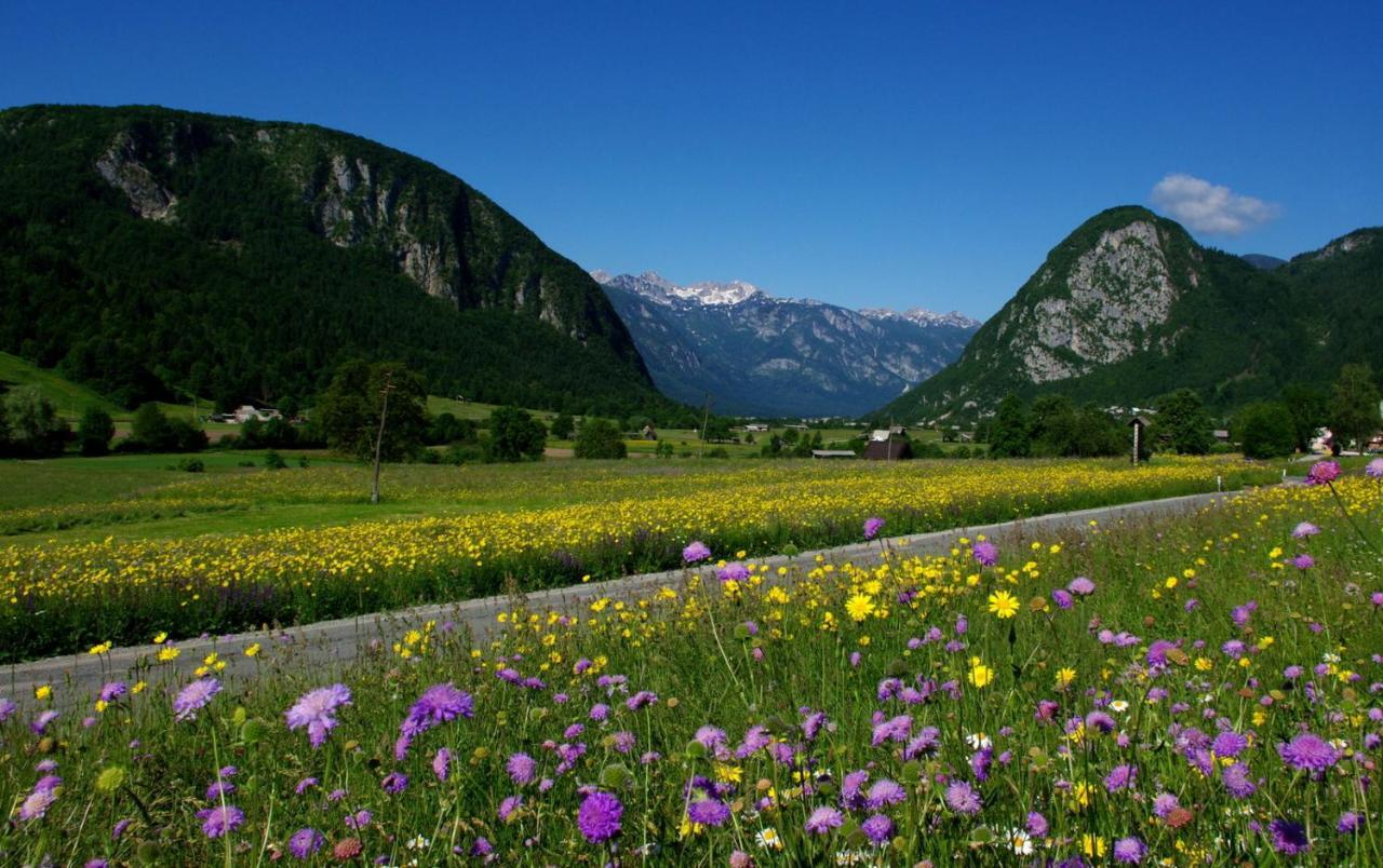 Apartmaji Alpski Cvet - Hisa Gorenc * Bohinj