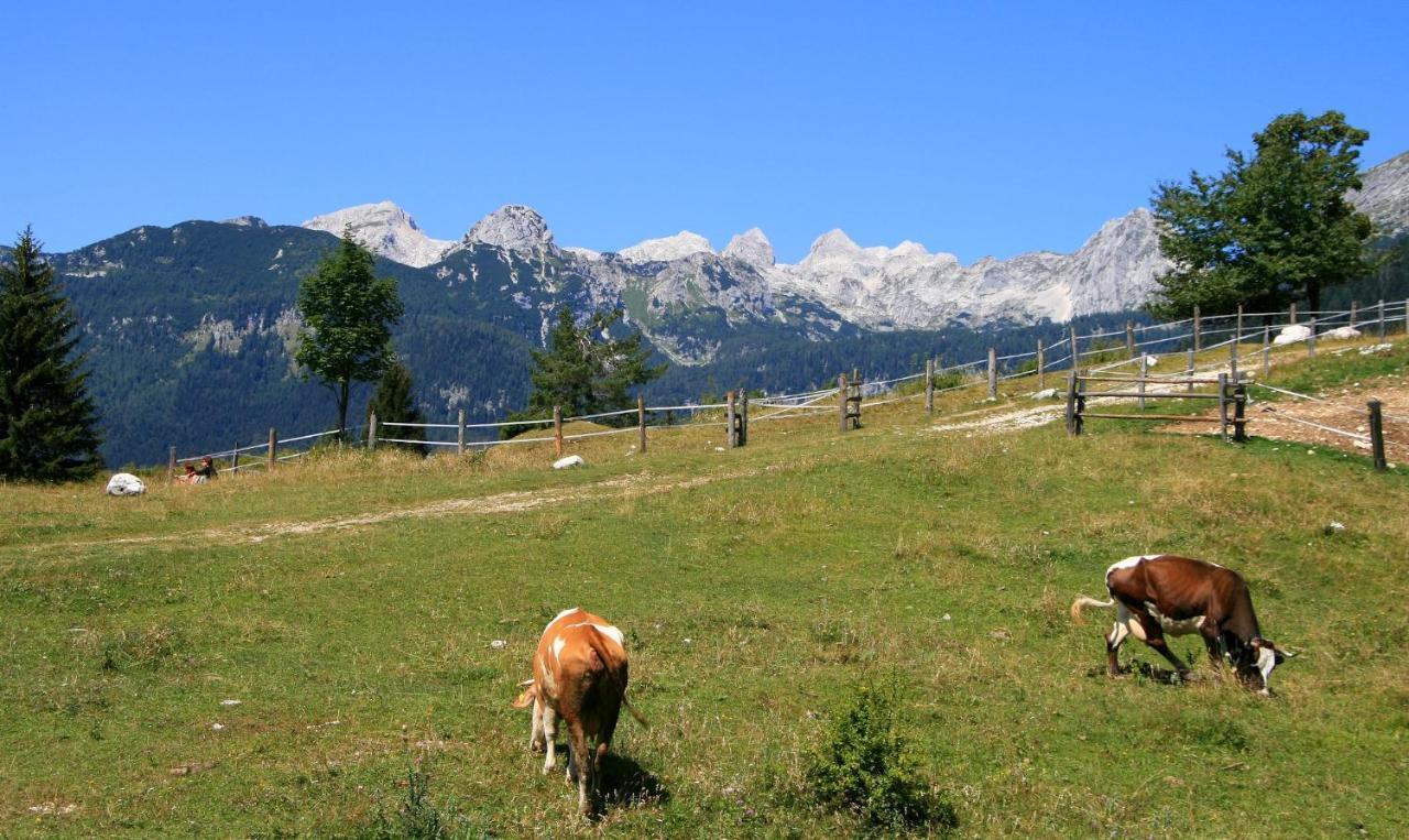Apartmaji Alpski Cvet - Hisa Gorenc Apartment Bohinj