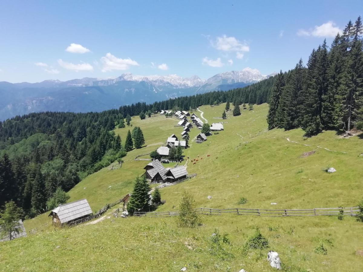 Apartmaji Alpski Cvet - Hisa Gorenc Apartment